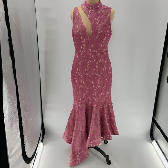 LA MAISON TALULAH FOUNDATION LACE MIDI DRESS IN TEAROSE SIZE large - $350 - Picture 13 of 16